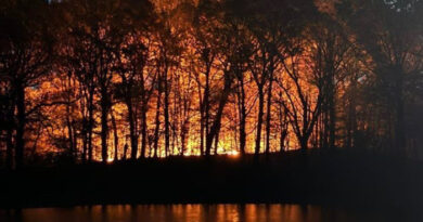 Neoyorquinos llamados a ahorrar cada «gota» de agua mientras crecen los incendios