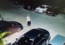 Residentes de Carmen Renata III denuncian robo y vandalismo en horas de la madrugada