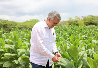 El tabaco dominicano es exportado a 148 países