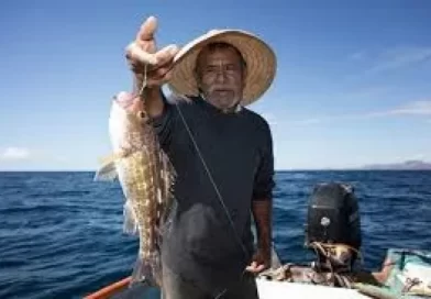 Pescadores de Sabaneta inician proyecto de producción de tilapias