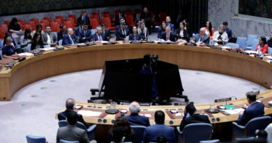 Indignación en ONU tras veto a resolución de tregua en Gaza