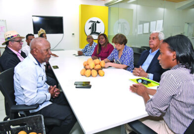 Clúster del Mango estima que en 2025 su exportación superará los 10 millones de cajas