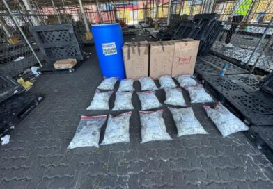 Incautan en pañales más de 700 guantes llenos de Marihuana en Puerto de Haina