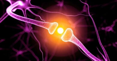 Científicos descubren que el entorno entre neuronas regula la velocidad y precisión de las señales cerebrales