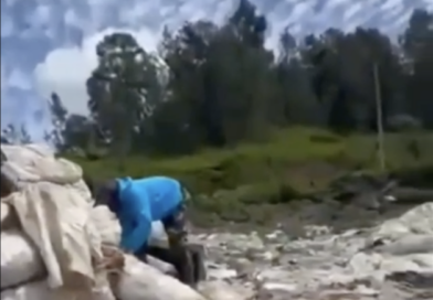 Sobreproducción y abundantes lluvias, afectan productores de zanahorias en Constanza