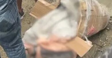 Policía investiga hallazgo de mujer muerta dentro de una caja en San Cristóbal