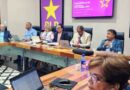 PLD socializa guía para conformar comisiones de consulta presidencial