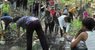 Unen fuerzas para rescatar la Laguna del Majagual en municipio de Peravia