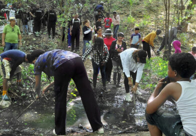 Unen fuerzas para rescatar la Laguna del Majagual en municipio de Peravia