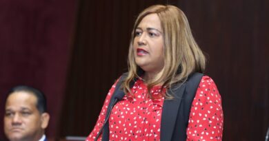 Ydenia Doñé será la vocera del bloque de diputados del PLD a partir del 16 de agosto