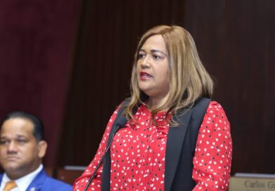 Ydenia Doñé será la vocera del bloque de diputados del PLD a partir del 16 de agosto