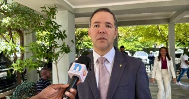 PLD afirma que fortalece su oposición y se prepara para volver al poder