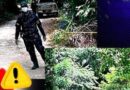 Hallan dos cadáveres en estado de descomposición en Villa Los Almácigos