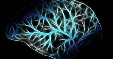 Nobel de Medicina 2026 reconoce avances que permiten estudiar el cerebro mediante la luz
