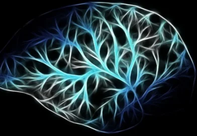 Nobel de Medicina 2026 reconoce avances que permiten estudiar el cerebro mediante la luz