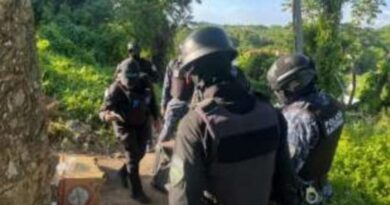 Policía ocupa 73 porciones de presuntas drogas y un cuchillo en San Cristóbal