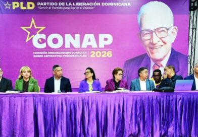 PLD llama su militancia a mantener disciplina y serenidad tras suspensión de consulta